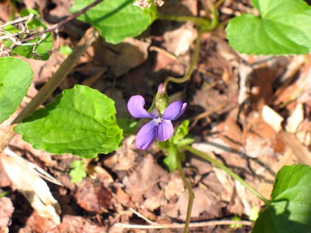 Enlarge photo 16