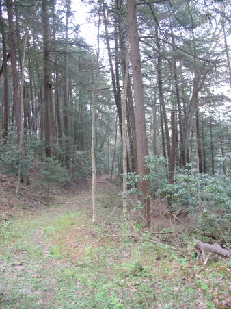 Enlarge photo 18