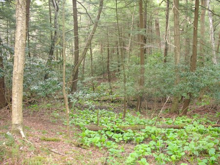 Enlarge photo 19
