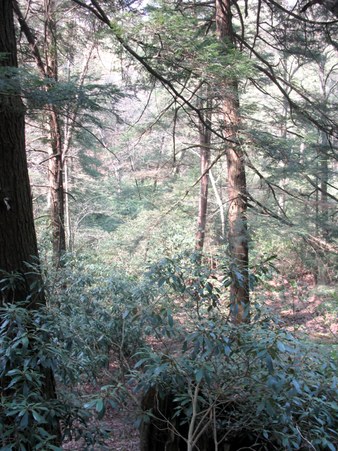 Enlarge photo 20