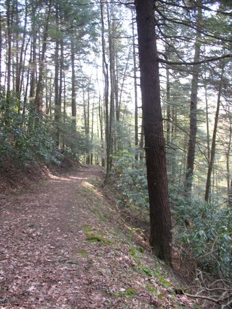 Enlarge photo 21