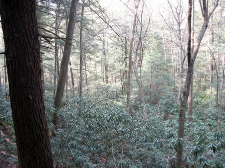 Enlarge photo 22