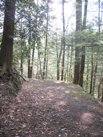 Enlarge photo 23