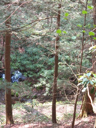 Enlarge photo 24