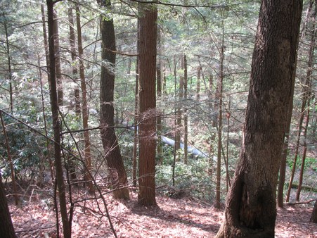 Enlarge photo 25
