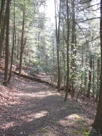 Enlarge photo 26