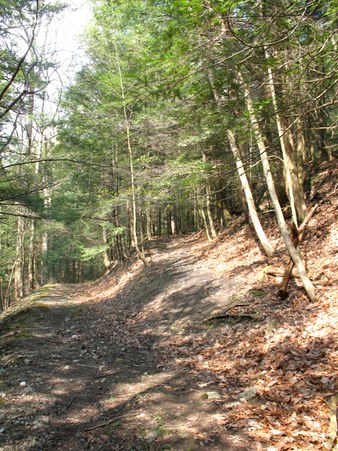 Enlarge photo 28