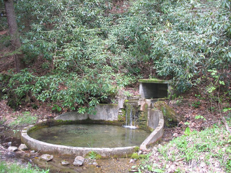 View Original Image