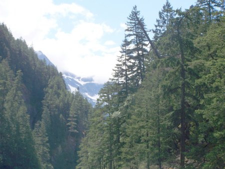 Enlarge photo 43