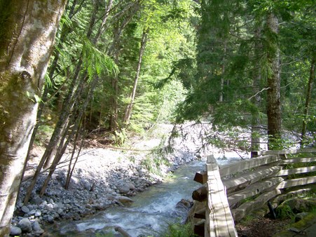 Enlarge photo 86