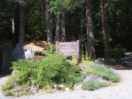 Enlarge photo 87
