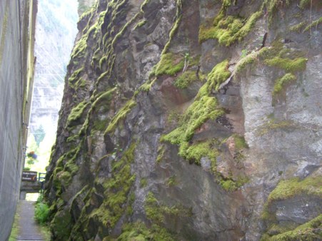 Enlarge photo 89