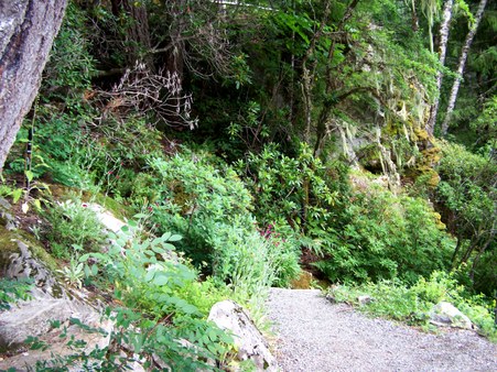 Enlarge photo 93