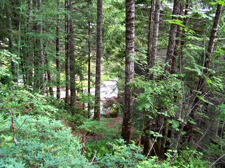 Enlarge photo 98