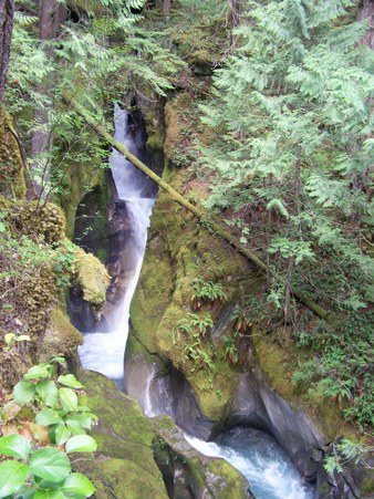 Enlarge photo 104