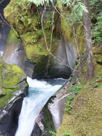 Enlarge photo 106