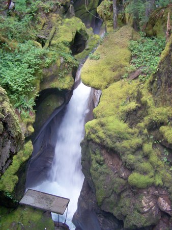 Enlarge photo 107