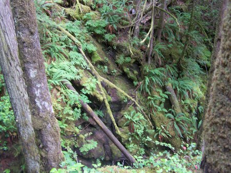 Enlarge photo 108