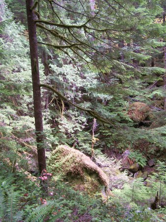 Enlarge photo 111