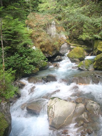 Enlarge photo 115