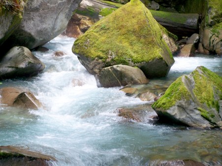 Enlarge photo 117