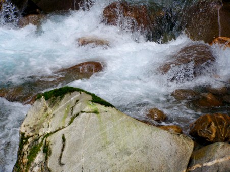 Enlarge photo 118