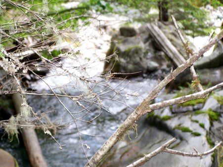 Enlarge photo 119