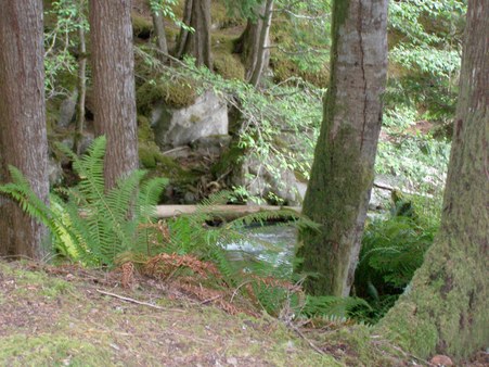 Enlarge photo 125