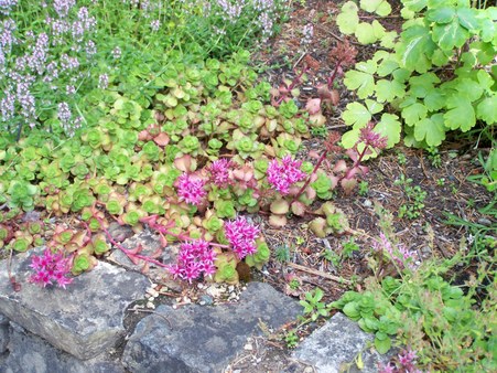 Enlarge photo 129
