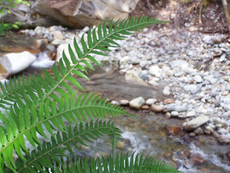 Enlarge photo 134