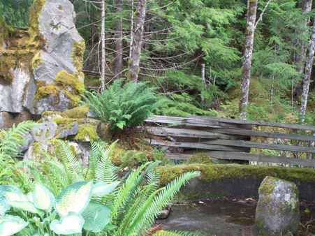 Enlarge photo 135