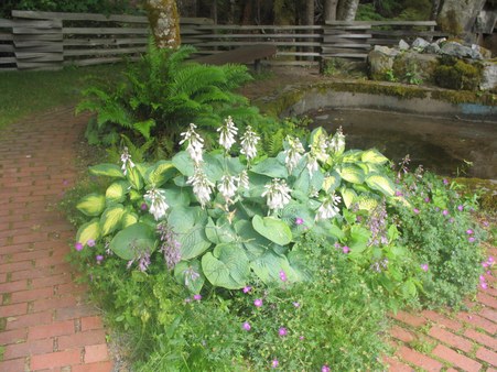 Enlarge photo 136