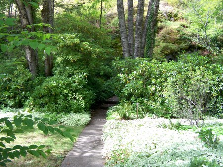 Enlarge photo 138