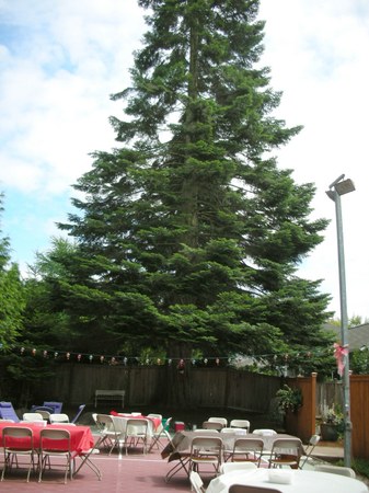 Enlarge photo 16