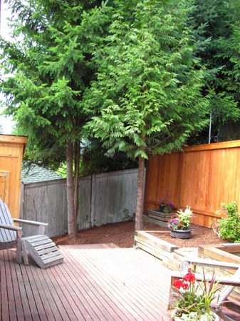 Enlarge photo 19
