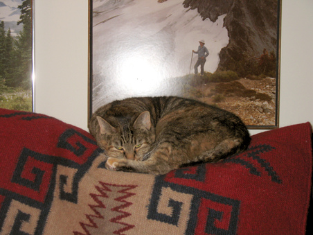 Enlarge photo 32