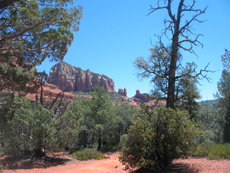 Enlarge photo 5