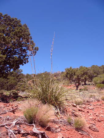 Enlarge photo 13