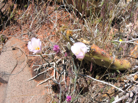Enlarge photo 14