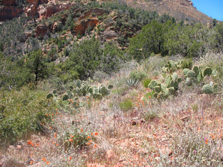 Enlarge photo 19