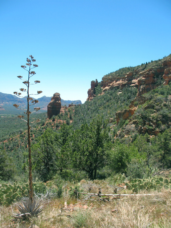 Enlarge photo 20