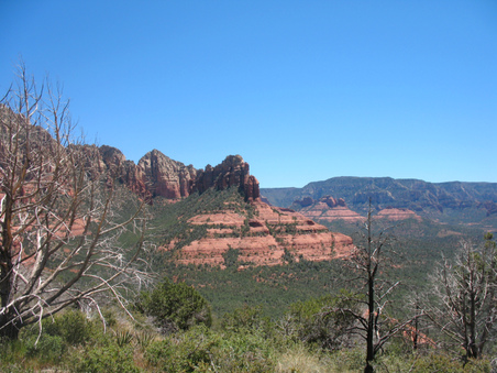 Enlarge photo 21