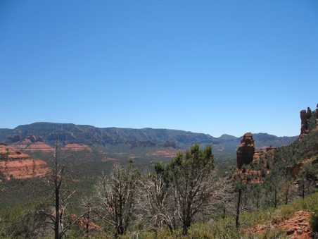 Enlarge photo 22