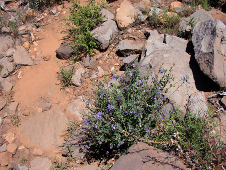 Enlarge photo 24