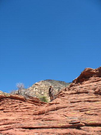 Enlarge photo 25