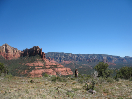 Enlarge photo 56