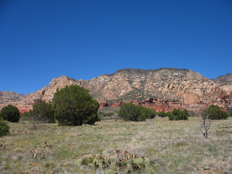 Enlarge photo 57