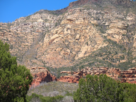 Enlarge photo 58