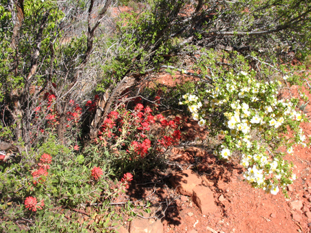 Enlarge photo 72