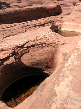 Enlarge photo 73